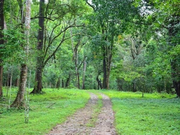 மானாம்பள்ளி