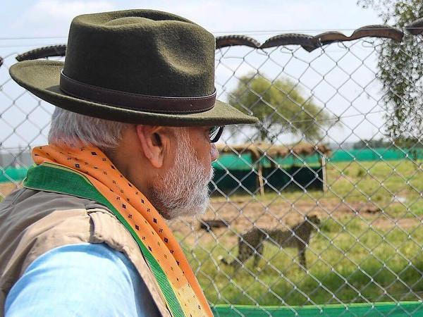 குனோ தேசியப் பூங்கா ஏன் தேர்ந்தெடுக்கப்பட்டது?