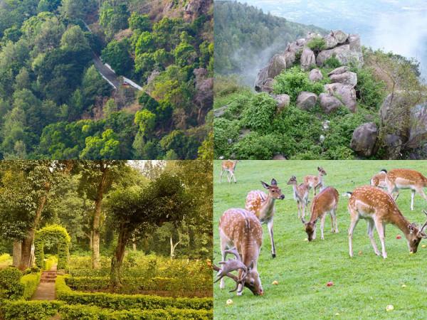ஏற்காட்டில் முதல் நாள்