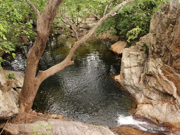 நீண்ட இடைவெளிக்கு பின்னர் திறக்கப்பட்டுள்ள நீர்வீழ்ச்சி