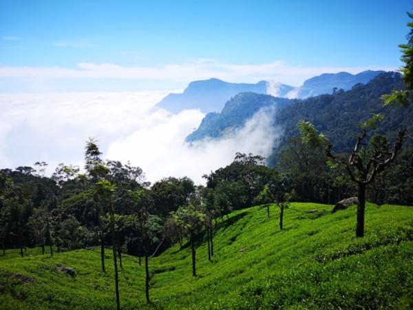 குன்னூர்
