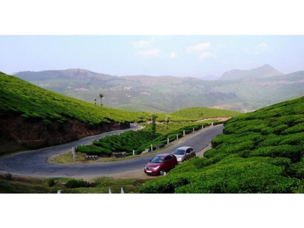 கோயம்புத்தூர் to ஆனைமலை புலிகள் காப்பகம்