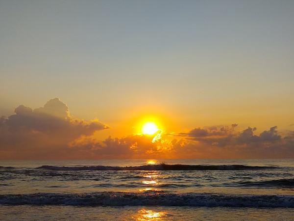 உதவிய முயற்சிகள்