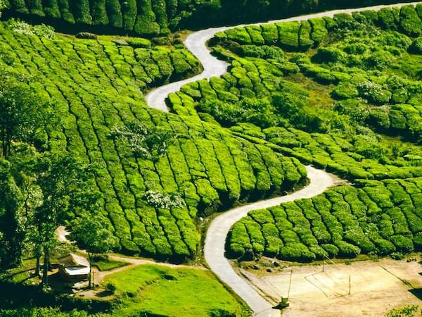 சென்னை to மூணாறு கார் பயணம்
