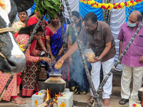 பாரம்பரியம் மாறாத பொங்கல் கொண்டாட்டம்