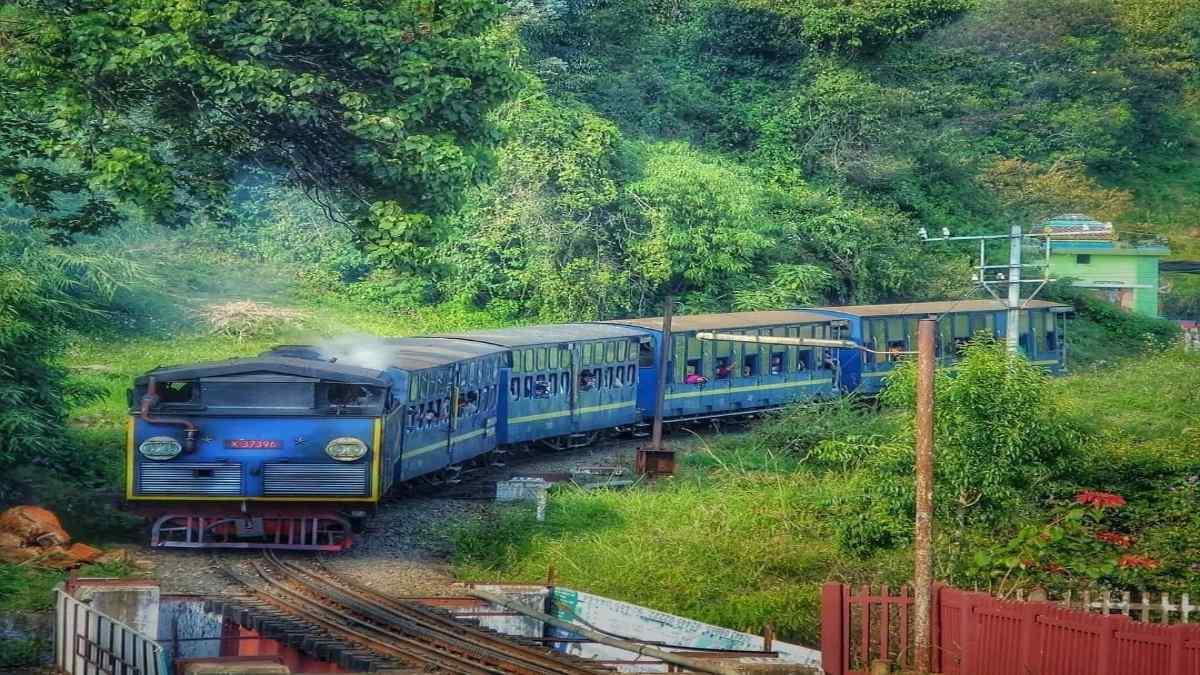 இந்த கோடையில் ஊட்டிக்கு செல்லுகிற பயணிகளுக்கு ஒரு குட் நியூஸ் அரிய