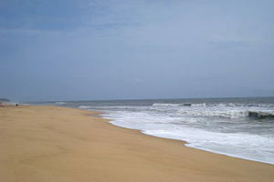 மரவந்தே படங்கள்